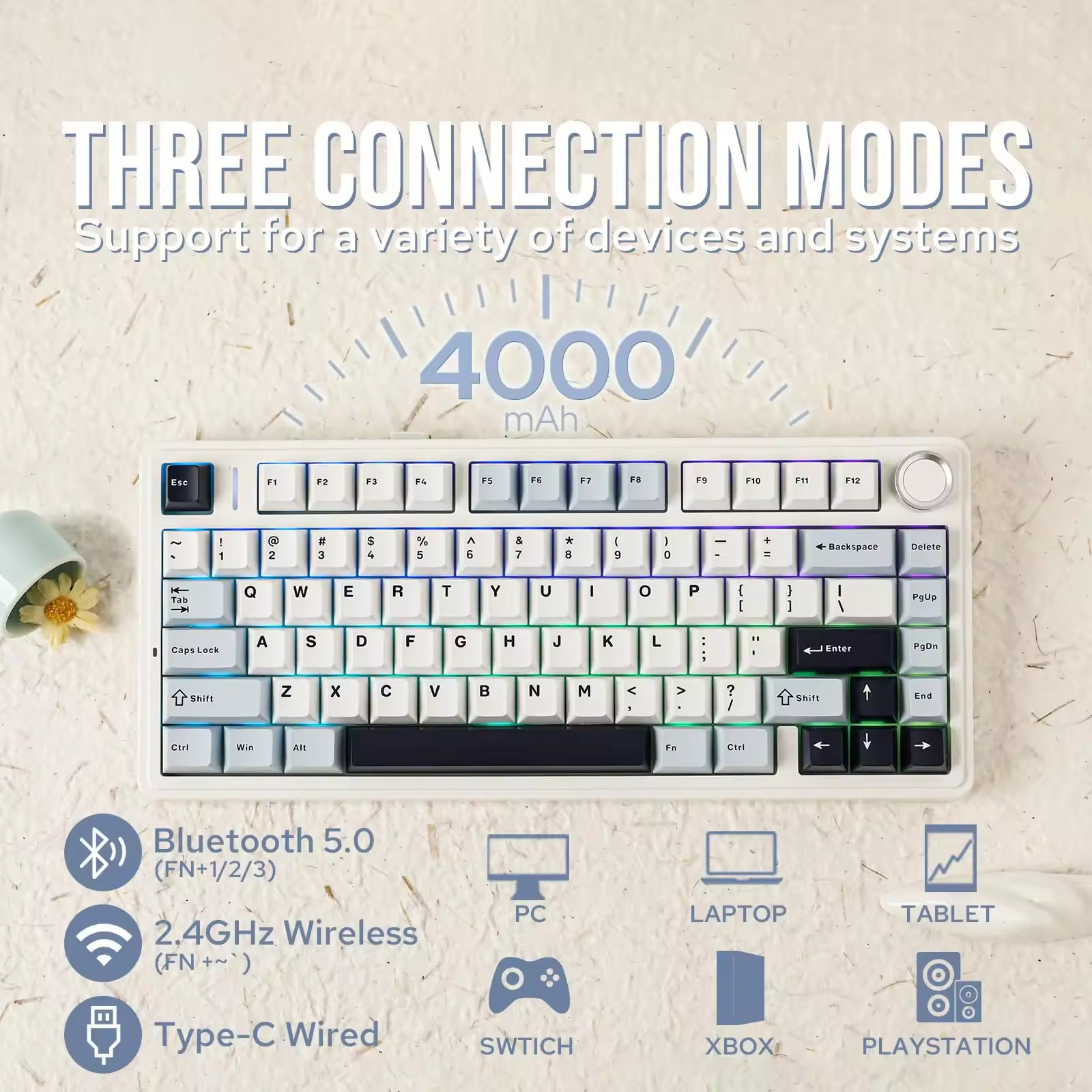 Shopping Sites International W - Gaming Accessories Shop บทวิจารณ์และราคา